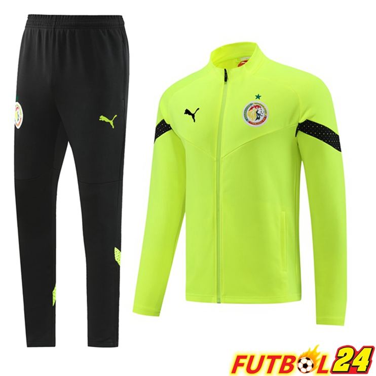 Chandal Equipos De Futbol - Chaqueta Senegal Verde 2023/2024