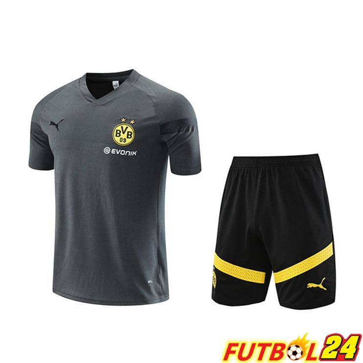 Camiseta Entrenamiento Dortmund BVB + Cortos Gris 2023/2024