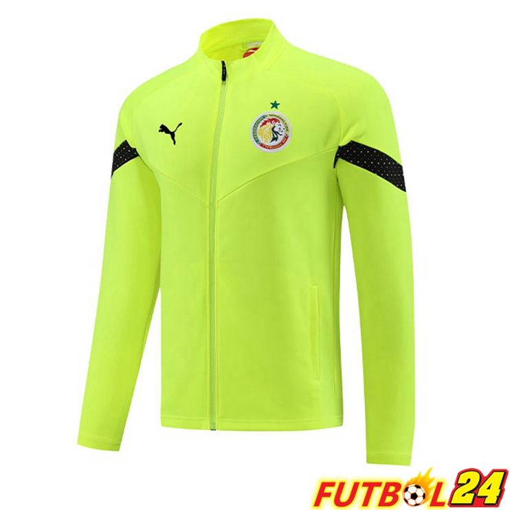 Chaquetas Futbol Senegal Verde 2023/2024