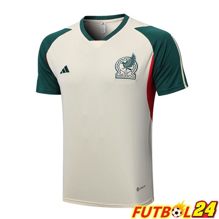 Camiseta Entrenamiento México Marrón 2023/2024