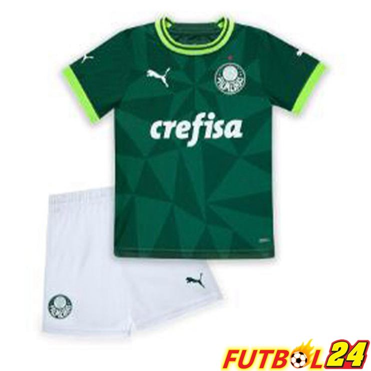 Camisetas De Futbol Palmeiras Ninos Primera Verde 2023/2024