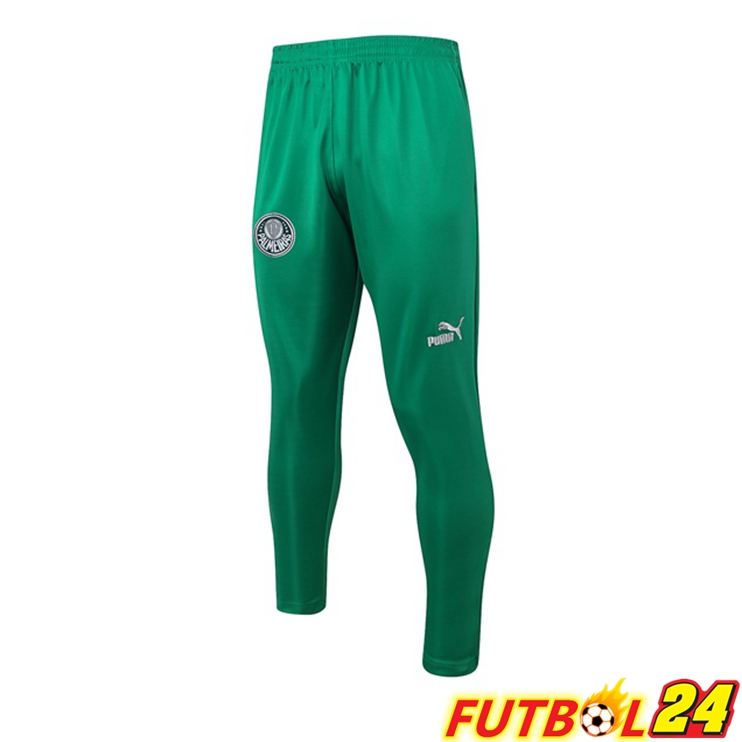 Pantalon Entrenamiento Palmeiras Verde 2023/2024