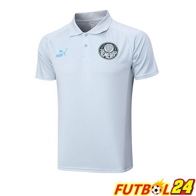 Camiseta Polo Palmeiras Gris 2023/2024