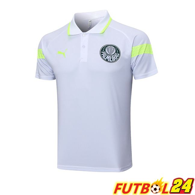 Camiseta Polo Palmeiras Gris 2023/2024