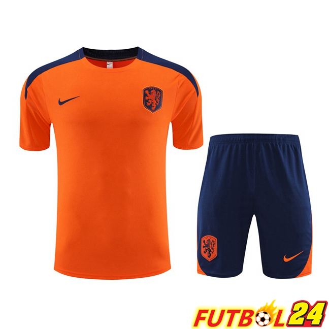 Camiseta Entrenamiento Países Bajos + Cortos Naranja 2023/2024