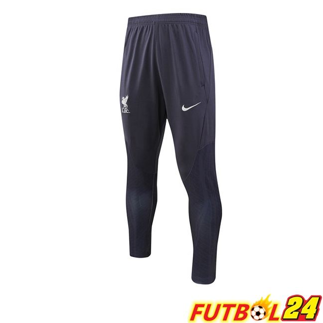 Pantalon Entrenamiento FC Liverpool Gris 2023/2024
