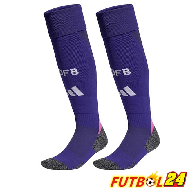 Calcetines De Futbol Alemania Segunda Púrpura 2024/2025