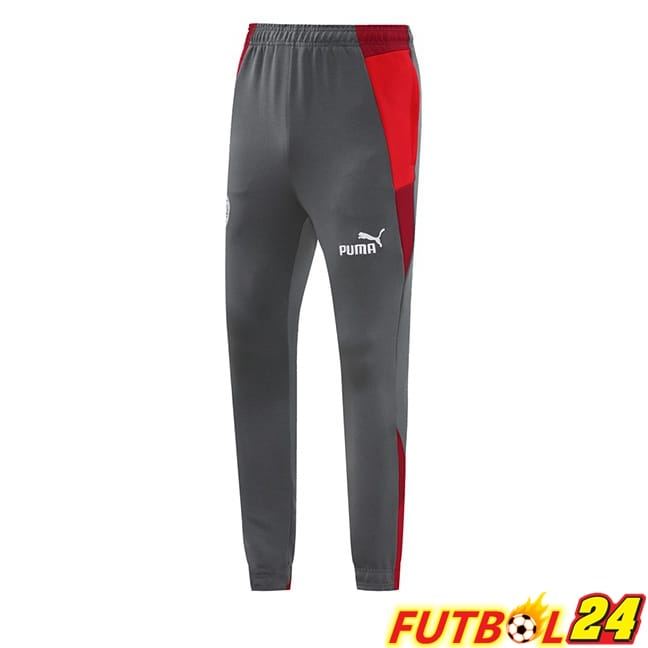 Pantalon Entrenamiento AC Milan Gris 2024/2025