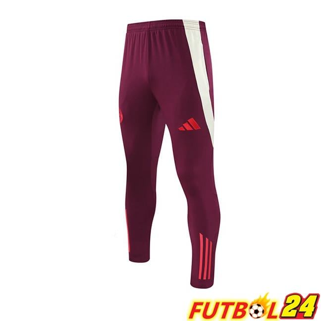 Pantalon Entrenamiento Bayern Munich Rojo 2024/2025
