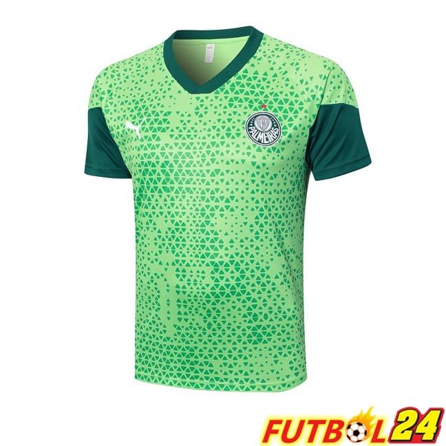 Camiseta Entrenamiento Palmeiras Verde 2024/2025