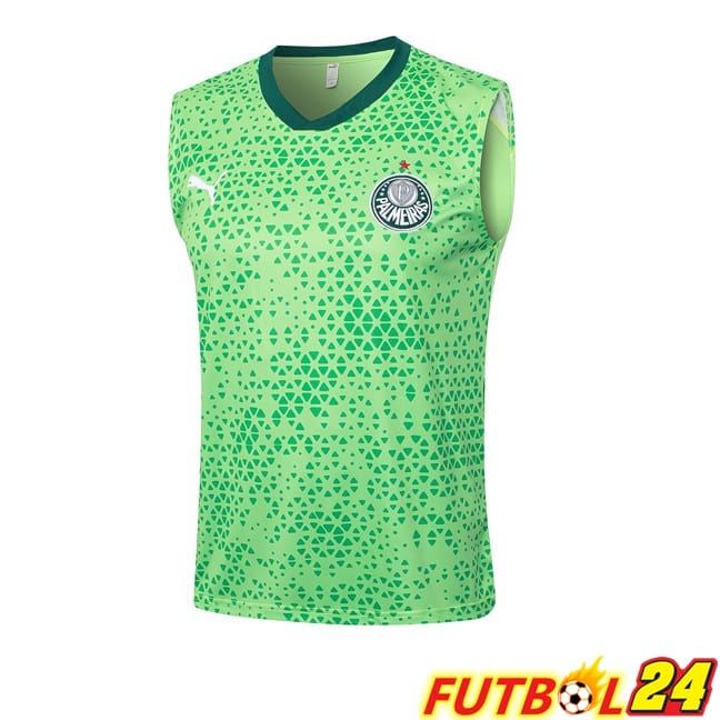 Chalecos De Futbol Palmeiras Verde 2024/2025