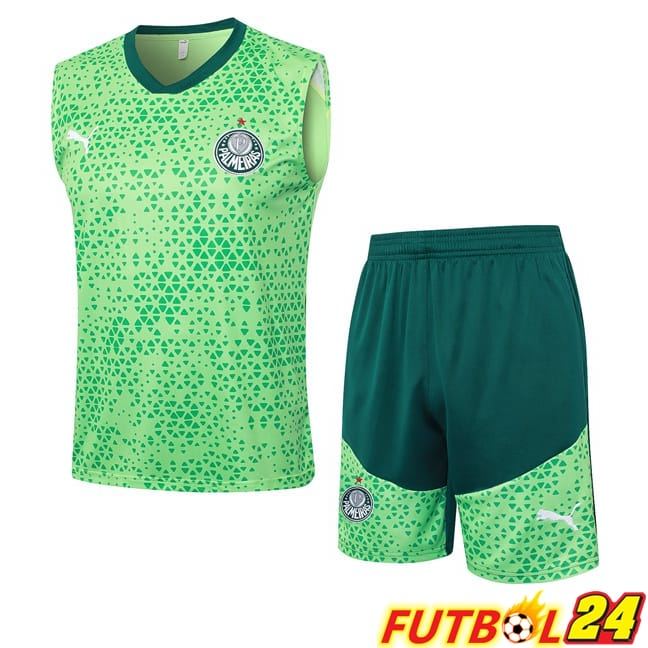 Chalecos De Futbol Palmeiras + Cortos Verde 2024/2025