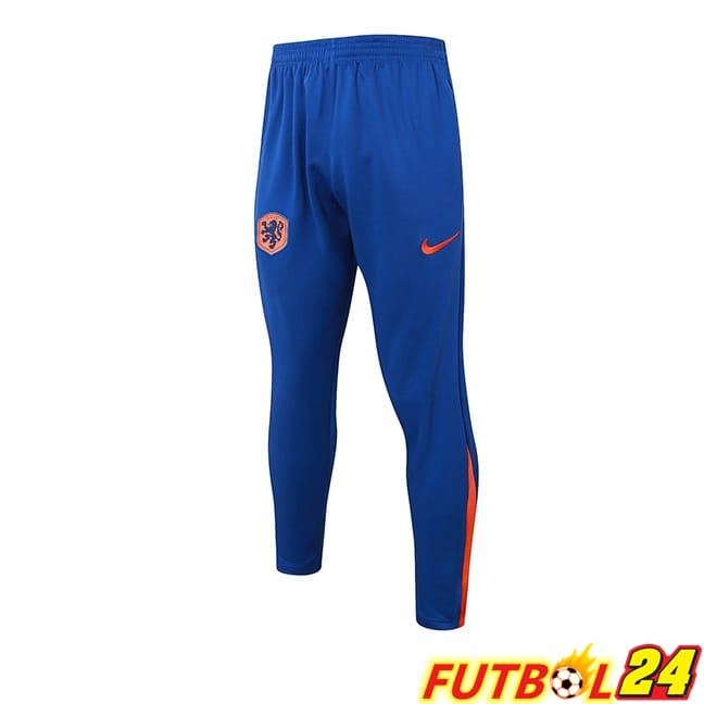 Pantalon Entrenamiento Países Bajos Azul 2024/2025