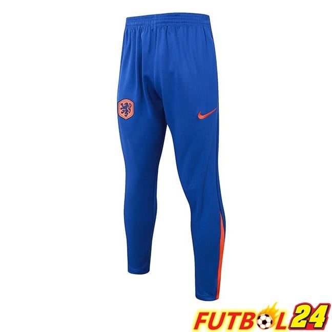 Pantalon Entrenamiento Países Bajos Azul 2024/2025