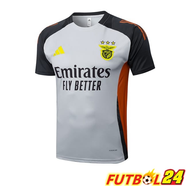 Camiseta Entrenamiento S.L Benfica Gris 2025/2026
