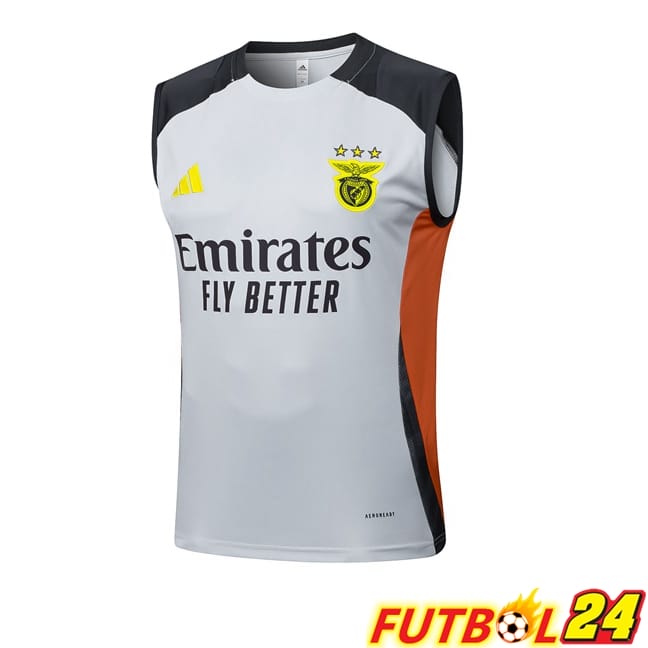 Chalecos De Futbol S.L Benfica Gris 2025/2026