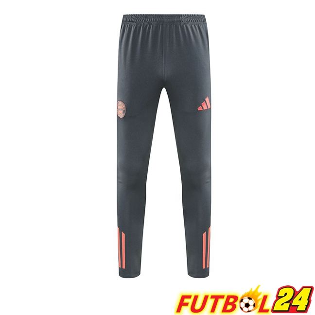 Pantalon Entrenamiento Bayern Munich Gris 2025/2026