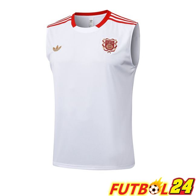 Chalecos De Futbol Bayern Munich Blanco 2025/2026