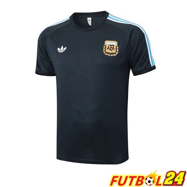 Camiseta Entrenamiento Argentina Gris 2025/2026