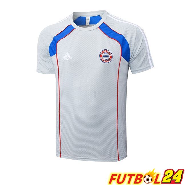 Camiseta Entrenamiento Bayern Munich Gris 2025/2026