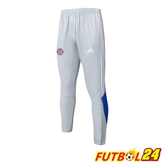 Pantalon Entrenamiento Bayern Munich Gris 2025/2026