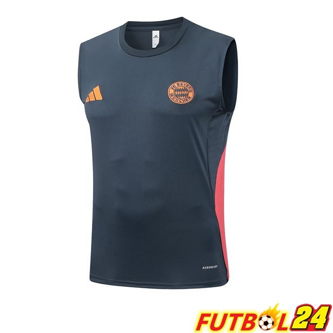 Chalecos De Futbol Bayern Munich Gris 2025/2026