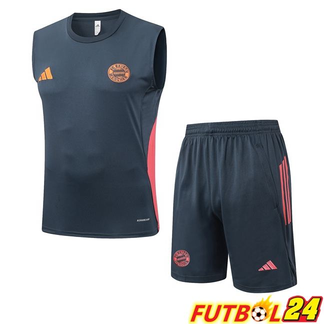 Chalecos De Futbol Bayern Munich + Cortos Gris 2025/2026