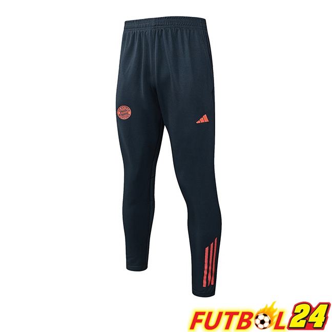 Pantalon Entrenamiento Bayern Munich Gris 2025/2026