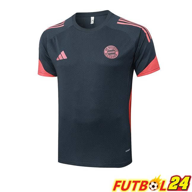 Camiseta Entrenamiento Bayern Munich Gris 2025/2026