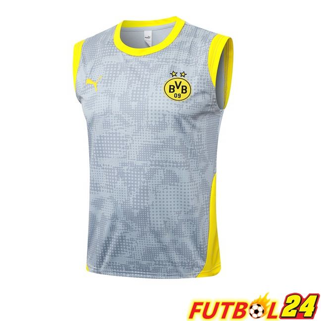 Chalecos De Futbol Dortmund BVB Gris 2025/2026